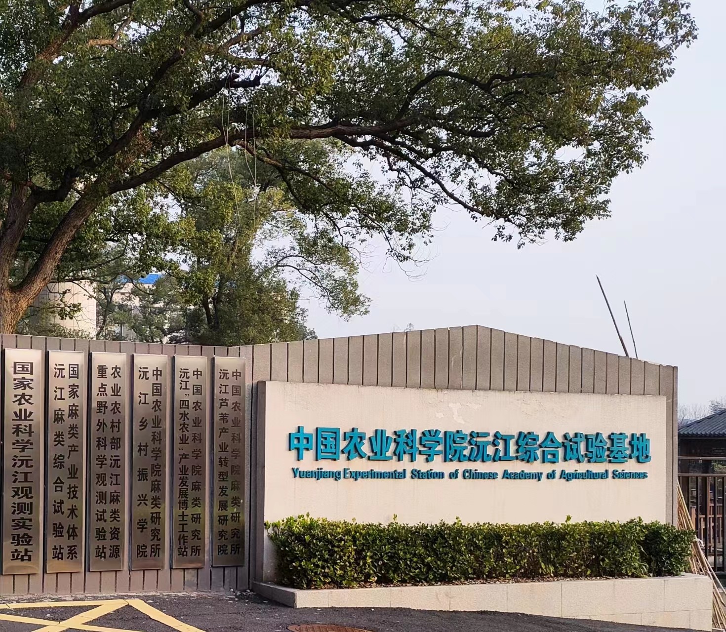 中国农业科学院苎麻纤维开纤系统验收完毕投入使用