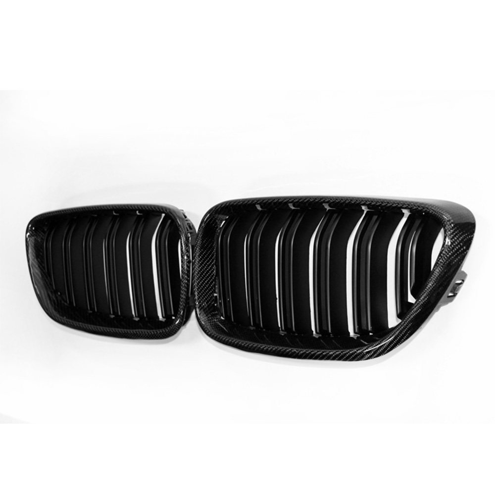 F22 carbon front grille