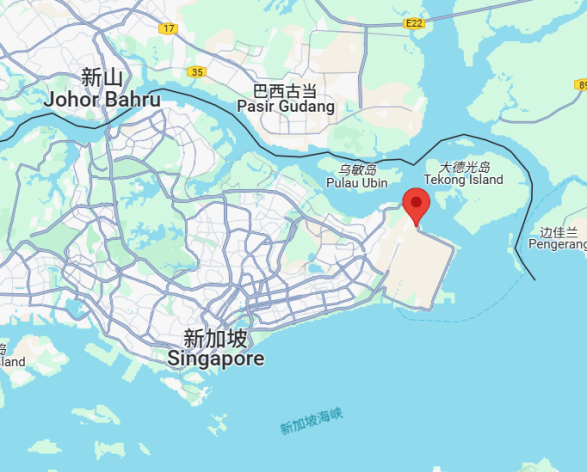 新加坡海外代理