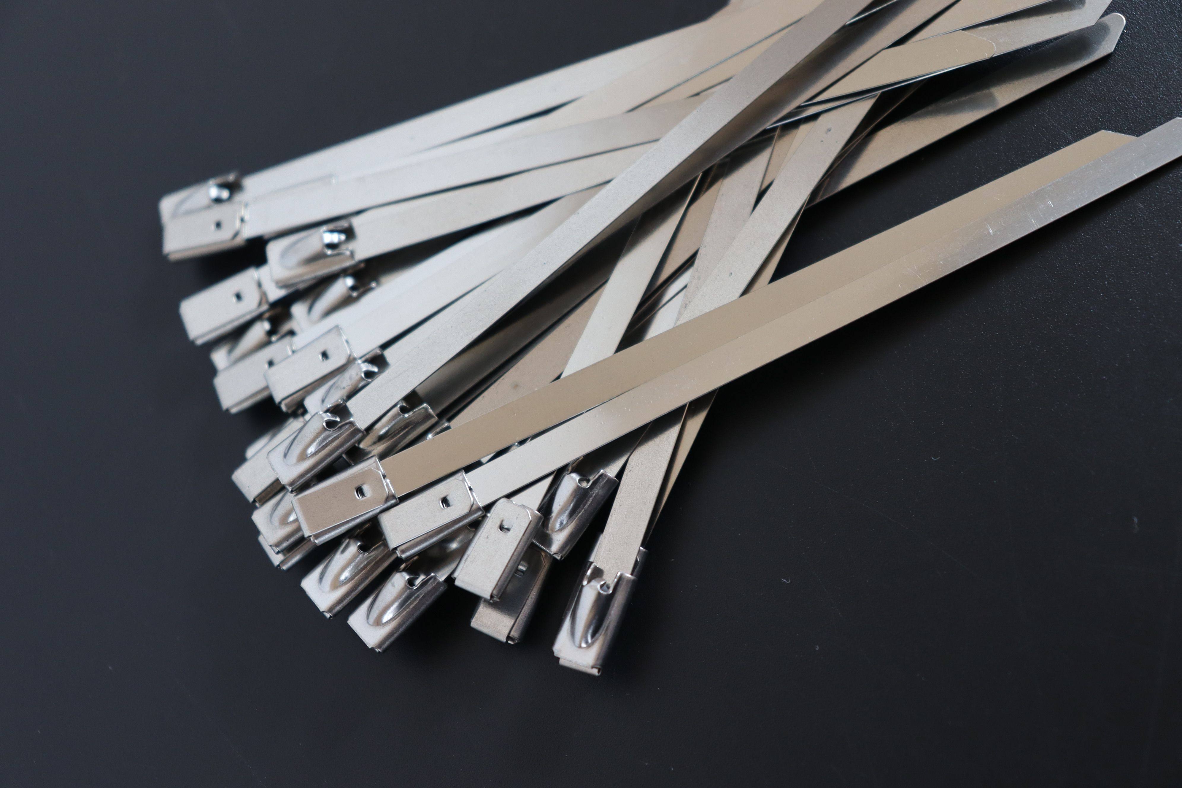 stainless cable tie