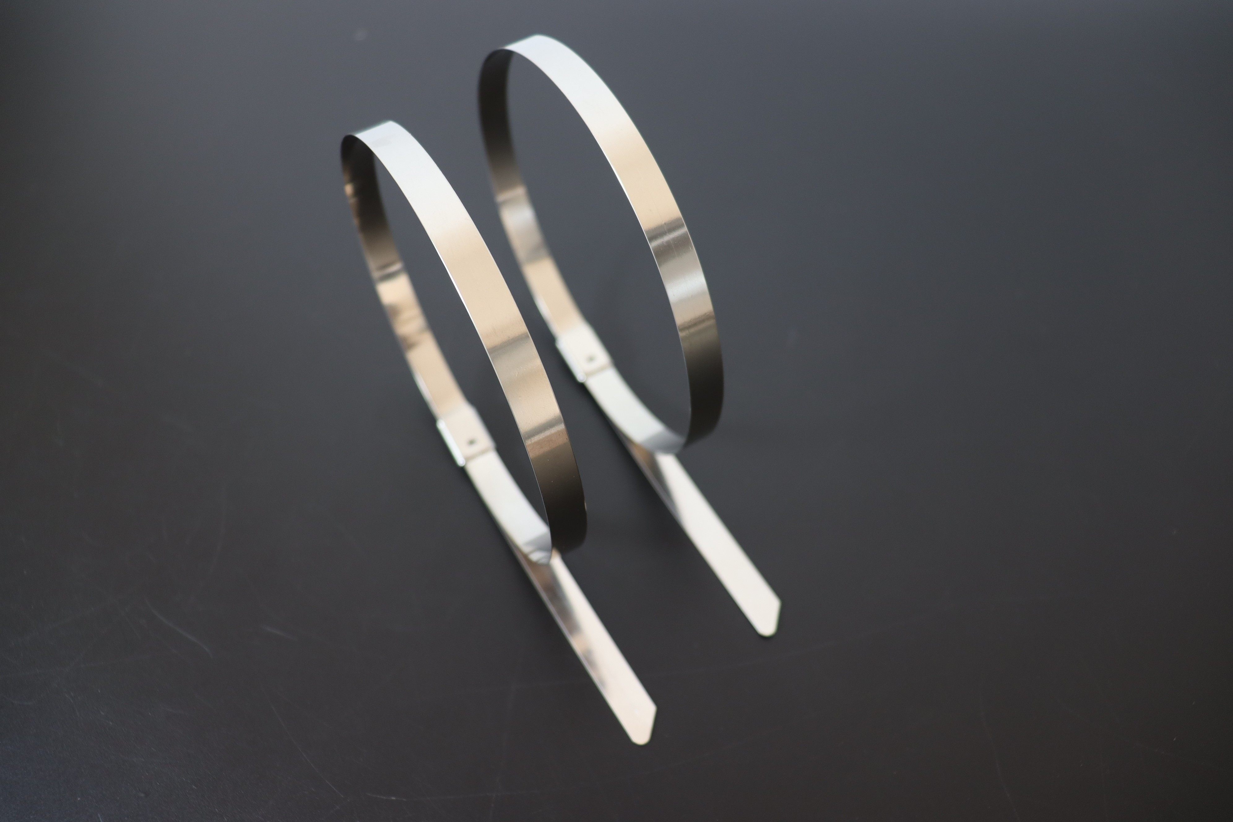 stainless cable tie