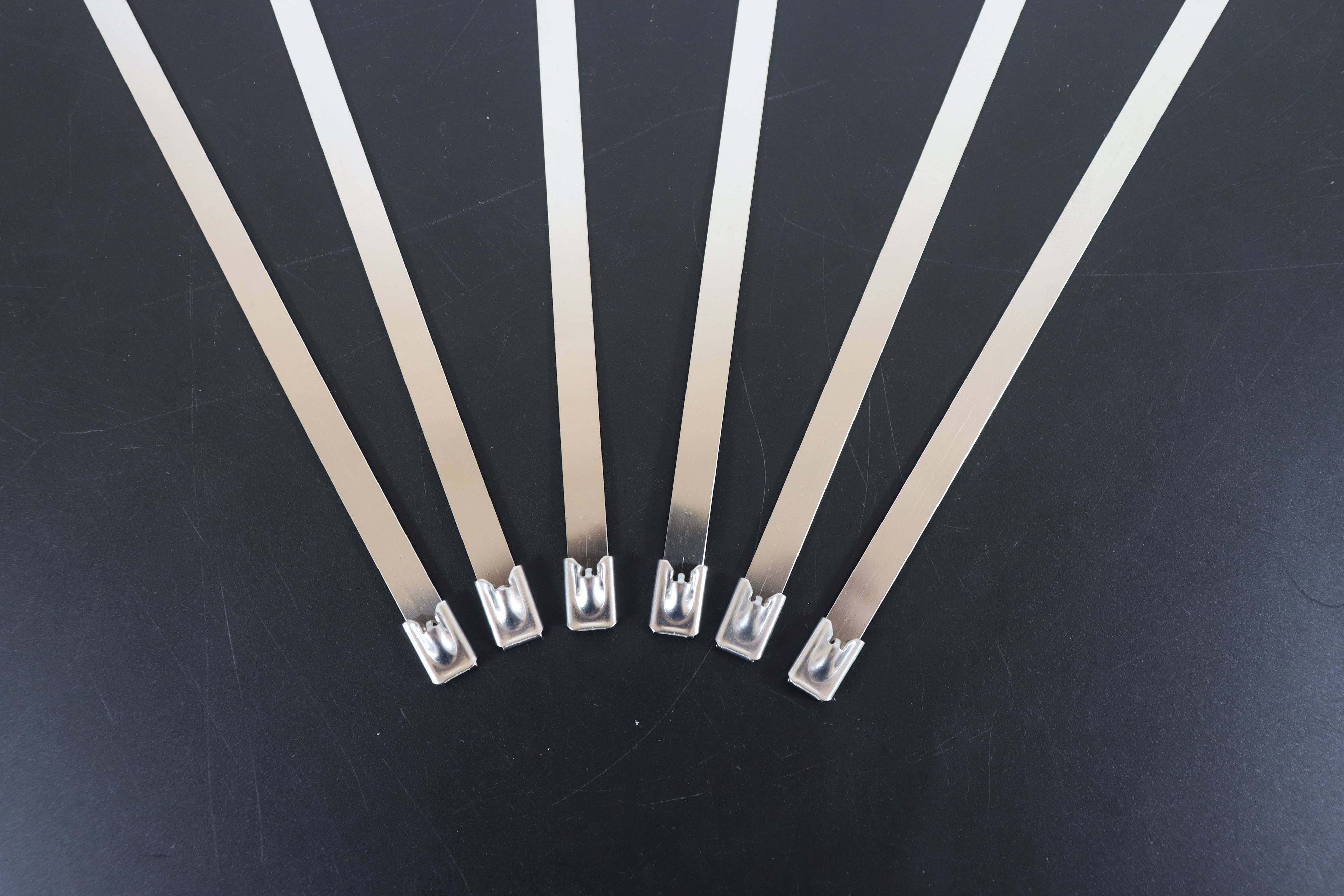 stainless cable tie