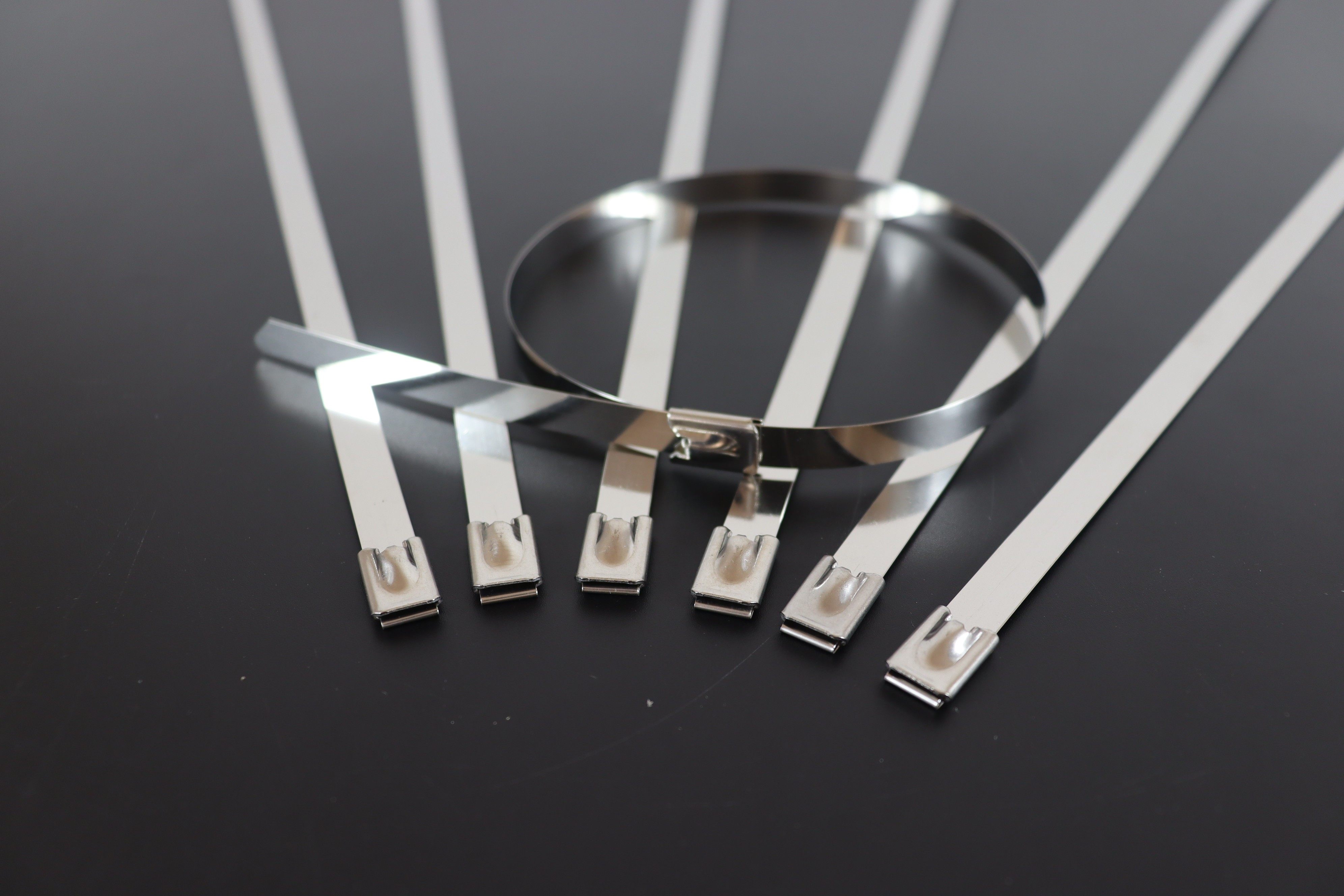 stainless cable tie