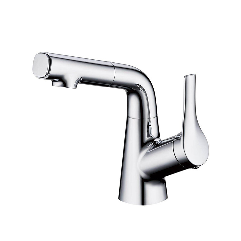 Hot and Cold Water Basin Faucets with Sprayer