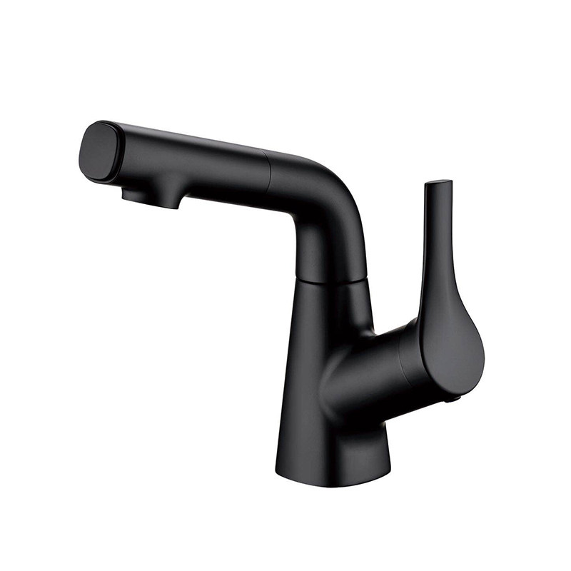 Hot and Cold Water Basin Faucets with Sprayer