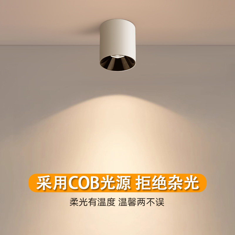 LED明装单头筒灯