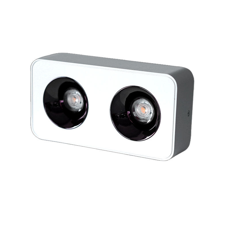 LED明装筒灯(1/2/3/4灯头）