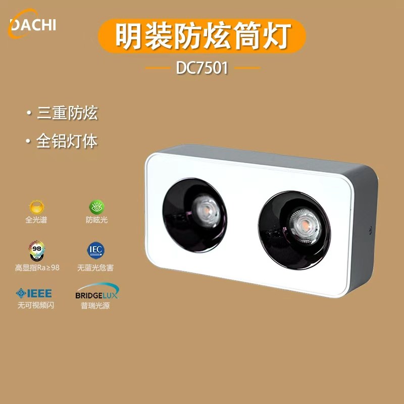 LED明装筒灯(1/2/3/4灯头）