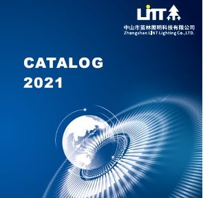 2021 LINT E-CATALOG