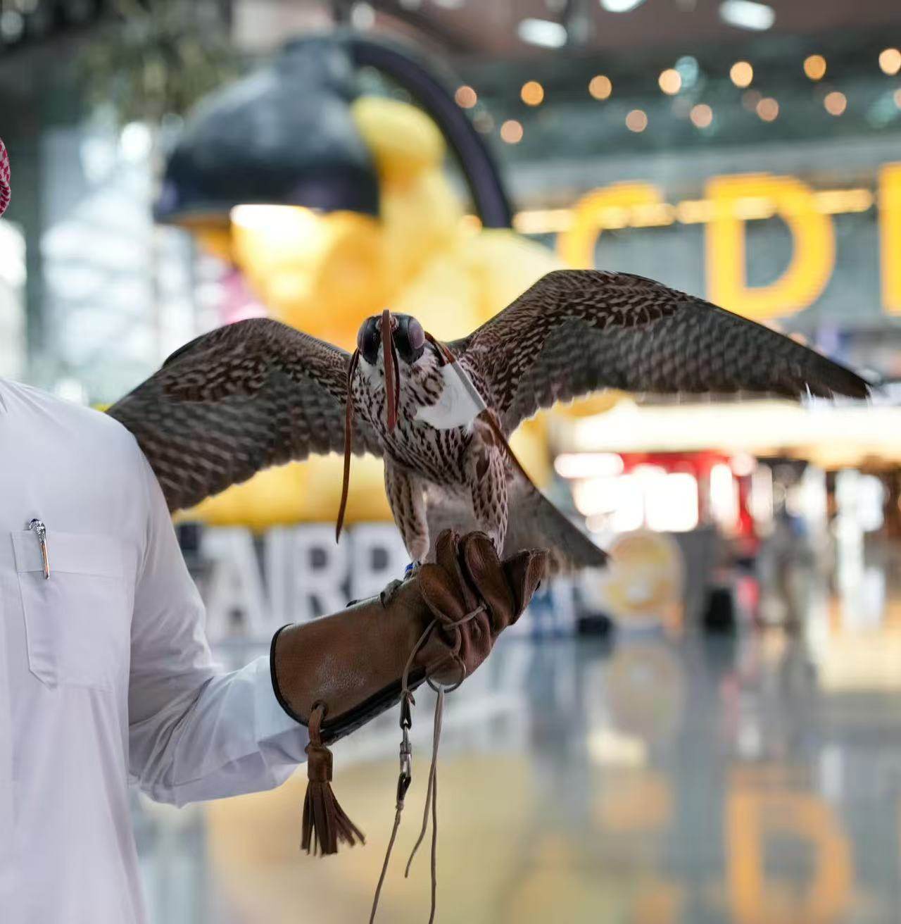 阿拉丁卡塔尔旅游社