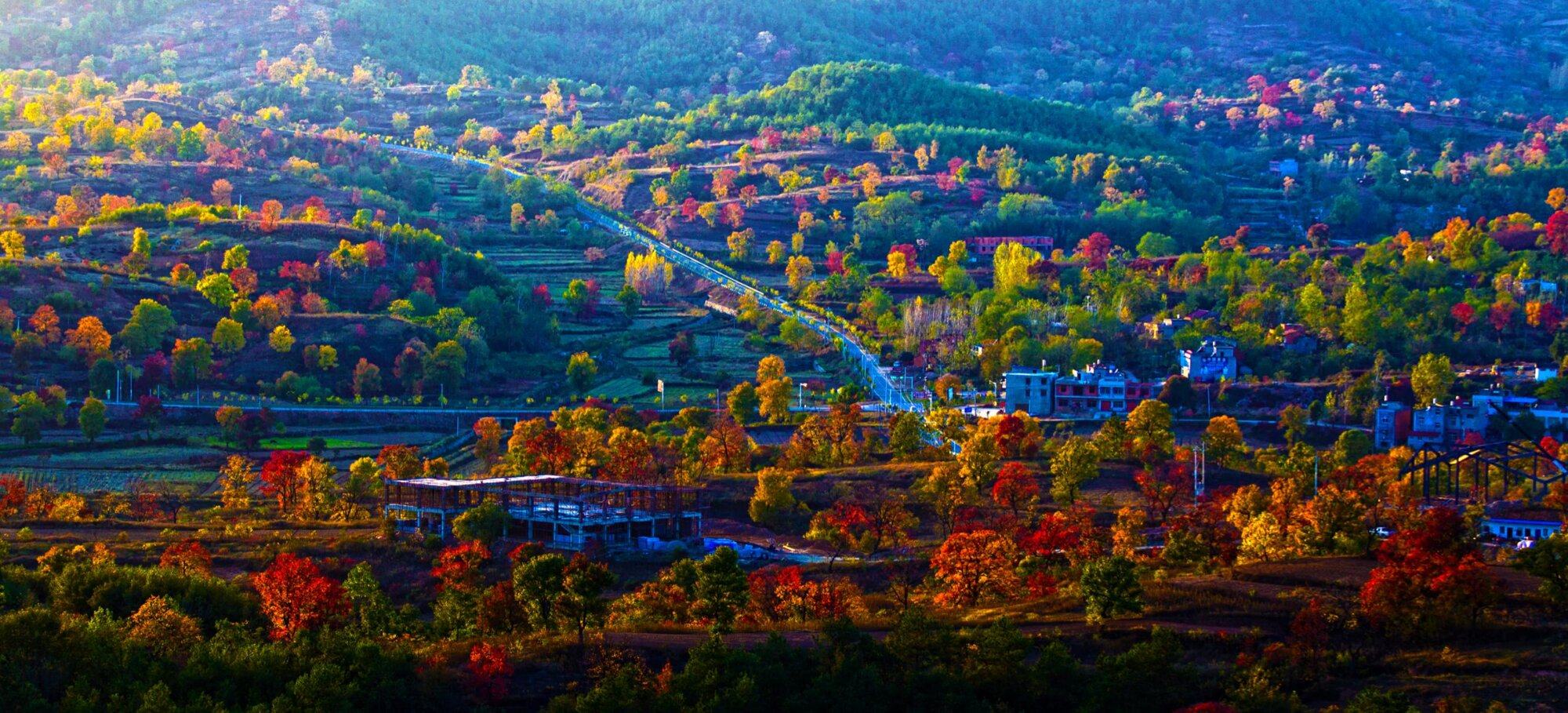 喜讯！大别山（大悟）红叶景区获得国家4A级景区“入场券