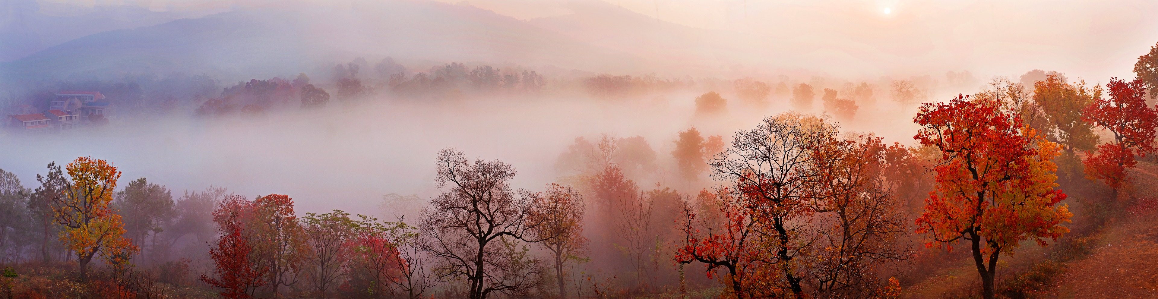 湖北十大秋季旅游好去处-大悟北山村-乌桕红叶