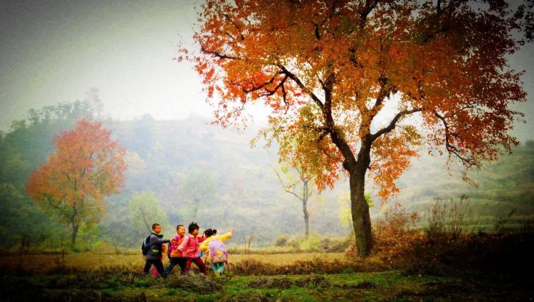 十一去哪玩？双节同庆・红韵秋光，三大主场联动带你领略大悟