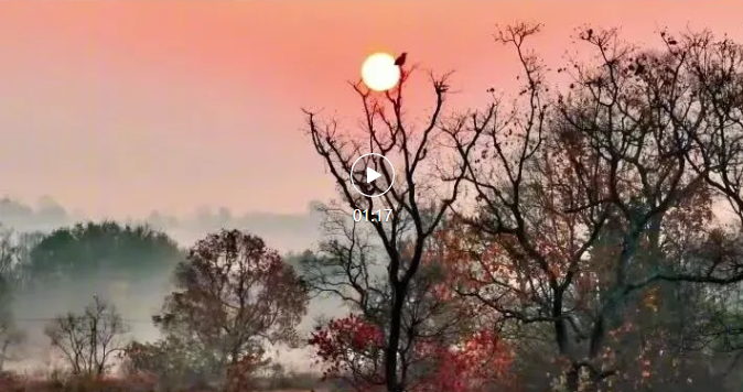 北山村居图.人间烟火气