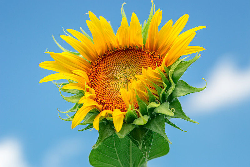 TK农产品业务介绍