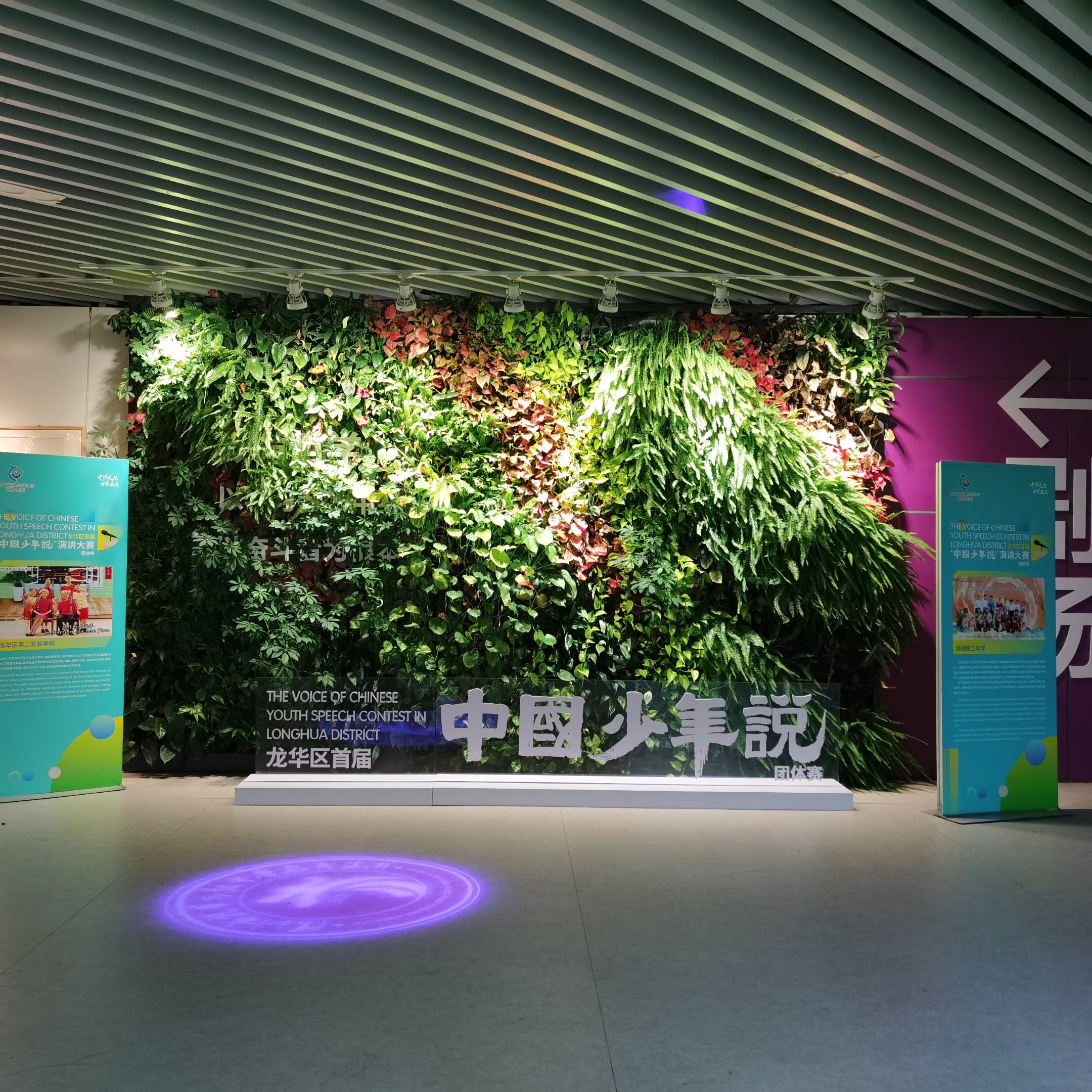 龙岗中国少年说