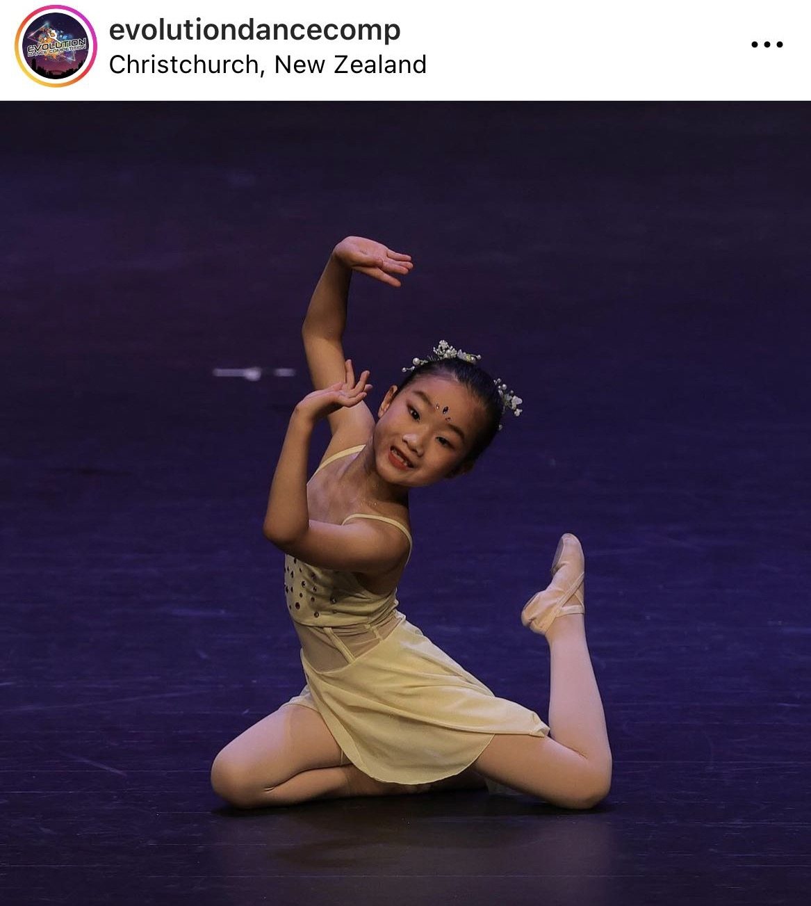 2023 “Evolution” by Lucy. Christchurch 1st, national 4th.