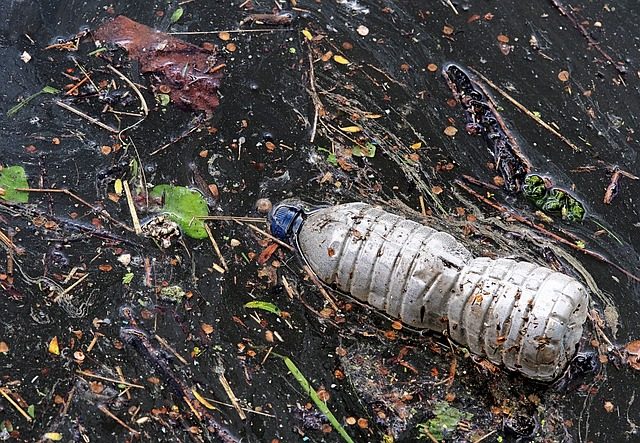 生物可降解塑料检测