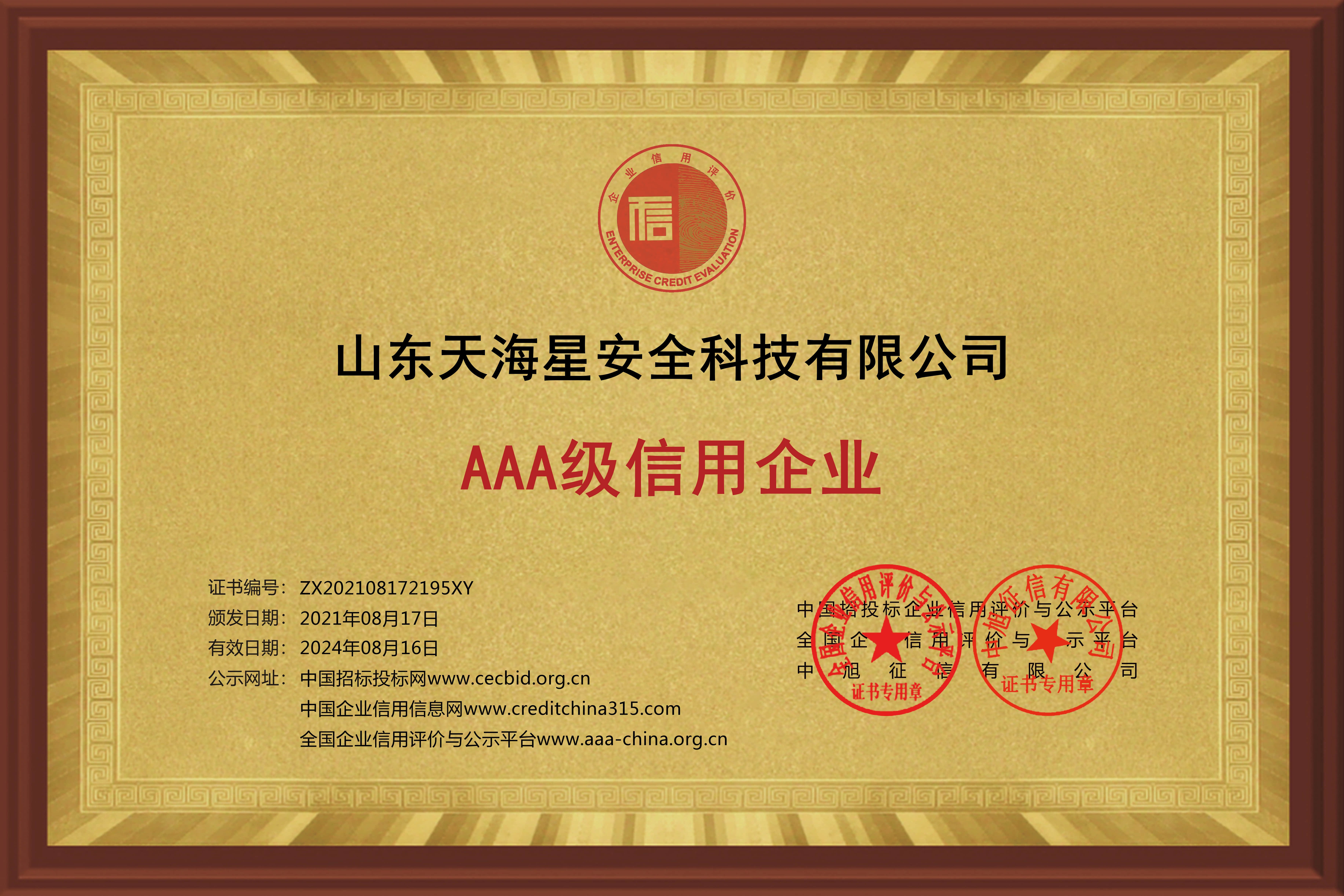 Shandong tianxing safety technology co., ltd.-employment of corporate credit level