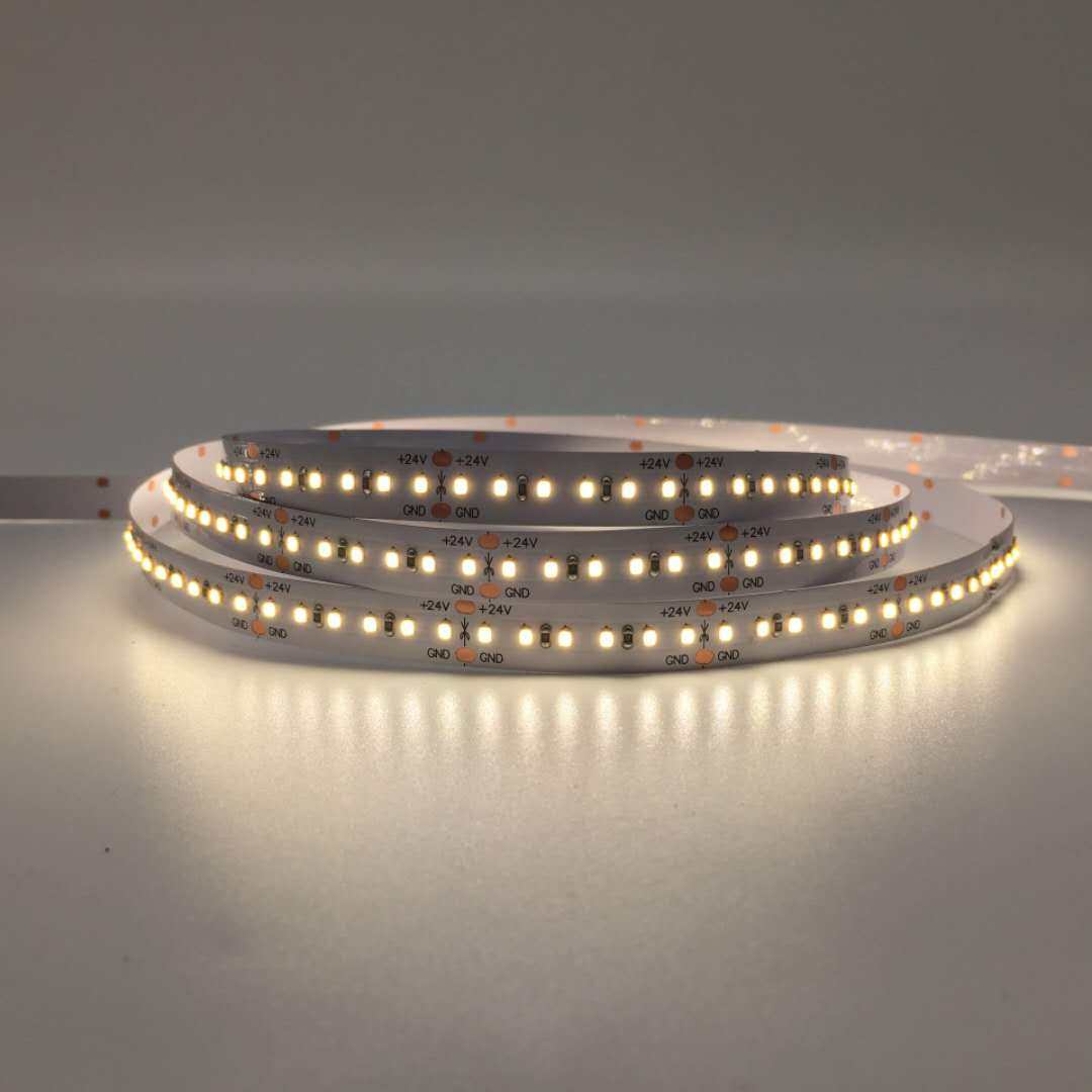 LED Flexible Strip Light SMD2216-240LED