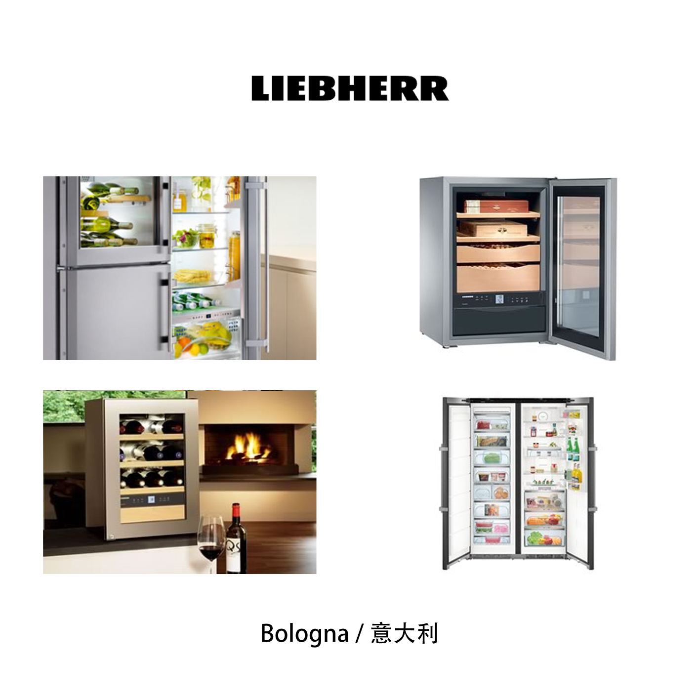 Liebherr 电器 冰箱