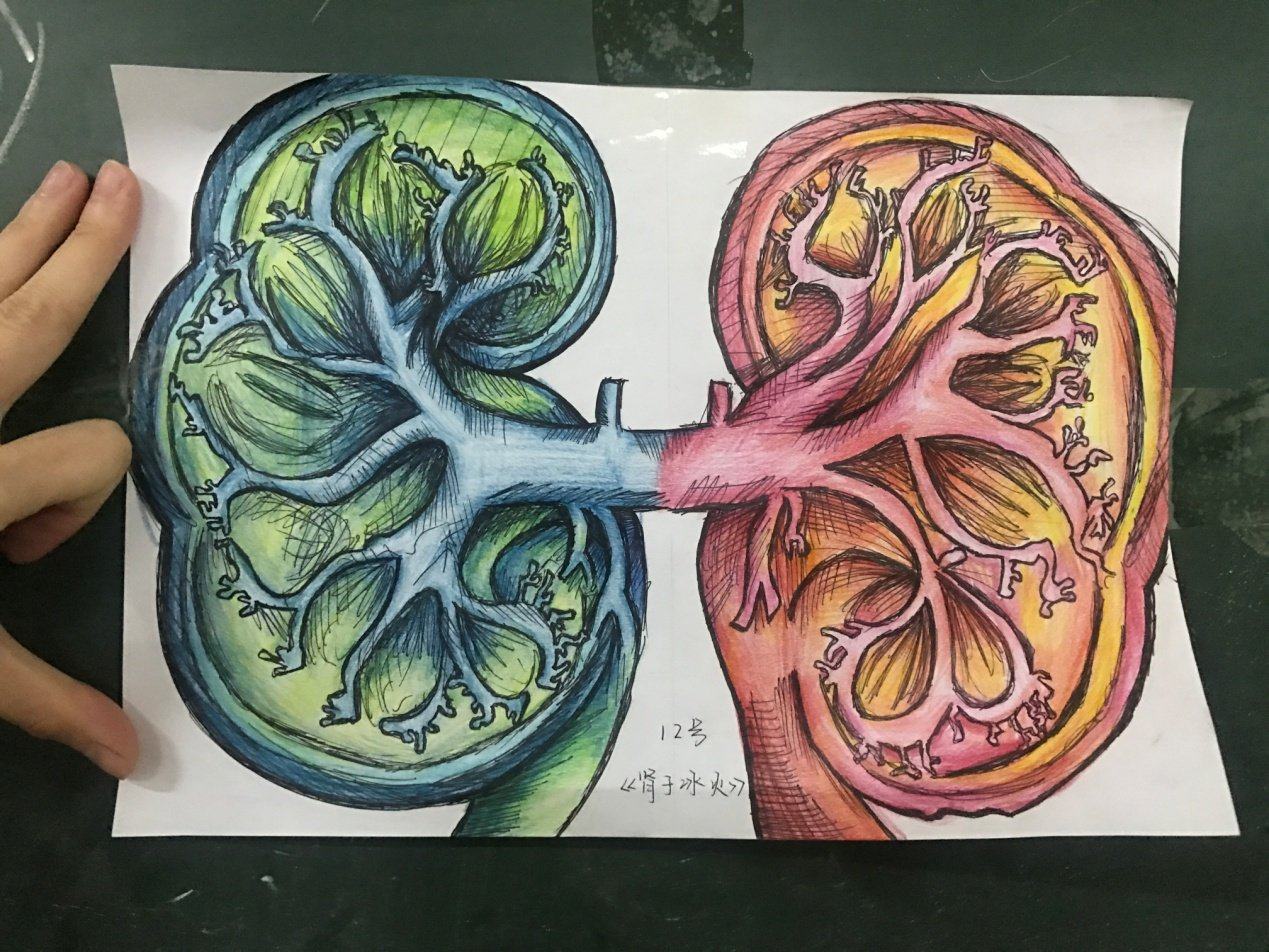 校园创意解剖图大赛