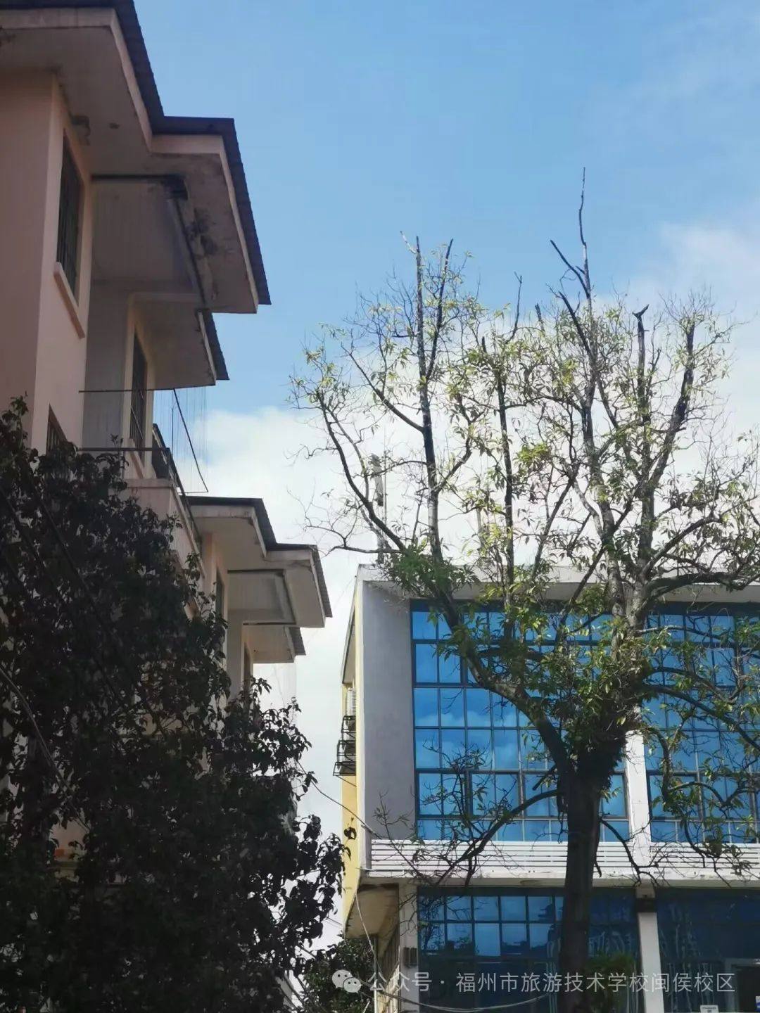 “在鲜花盛开中兜售春天”主题摄影比赛投票进行中，快来Pick你心中的优秀作品~