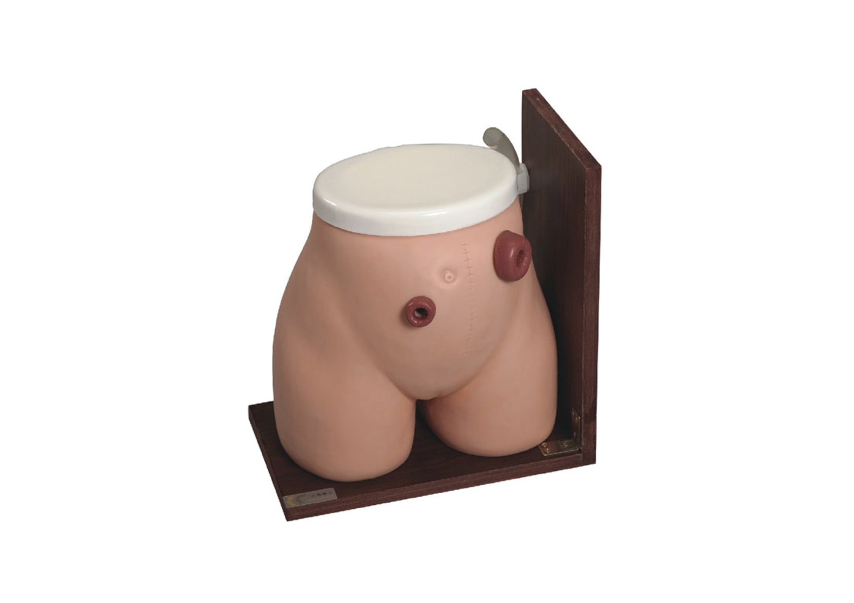 MH036 瘘管造口术护理模型