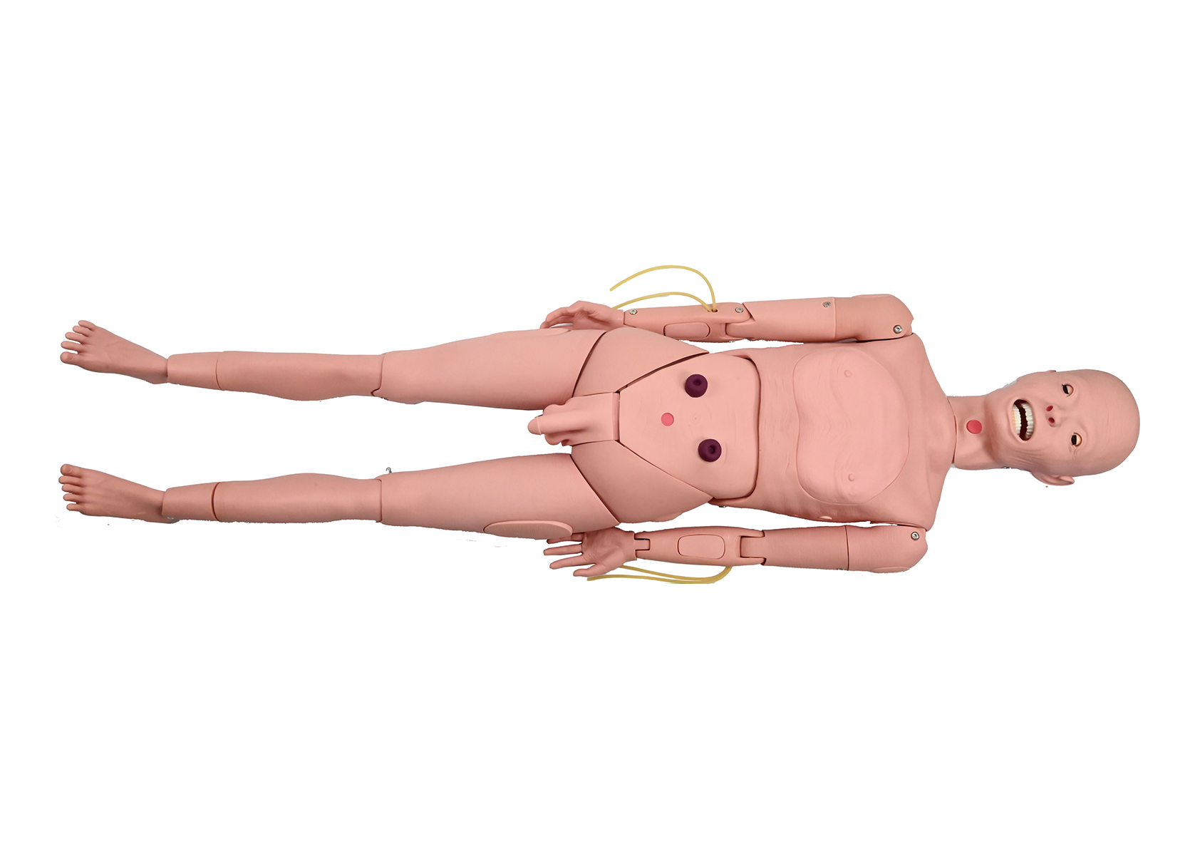 MH019 全功能老年护理模型（男性）