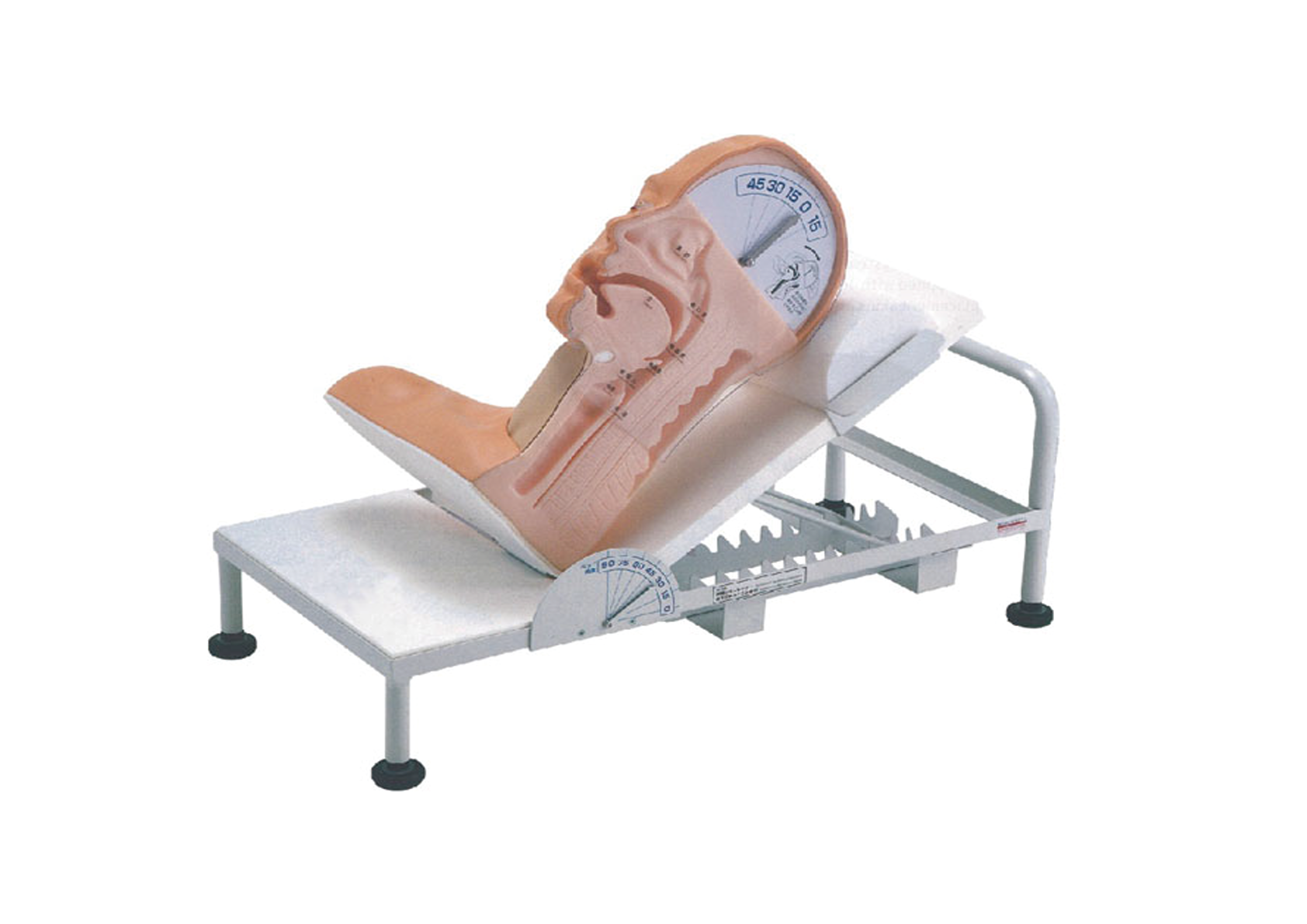 MH017 吞咽与呼吸机制演示模型