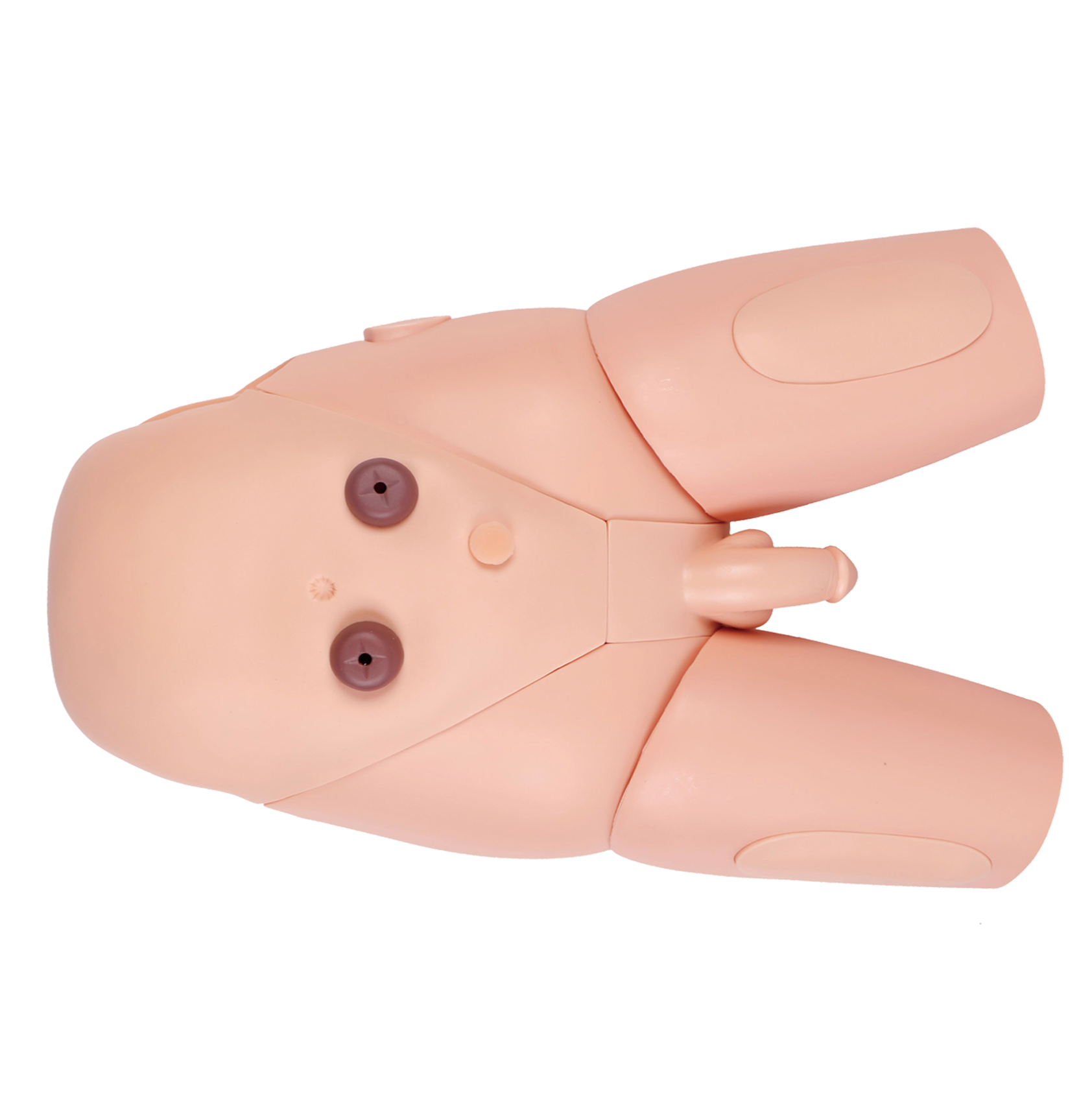 MH008 男性导尿模型