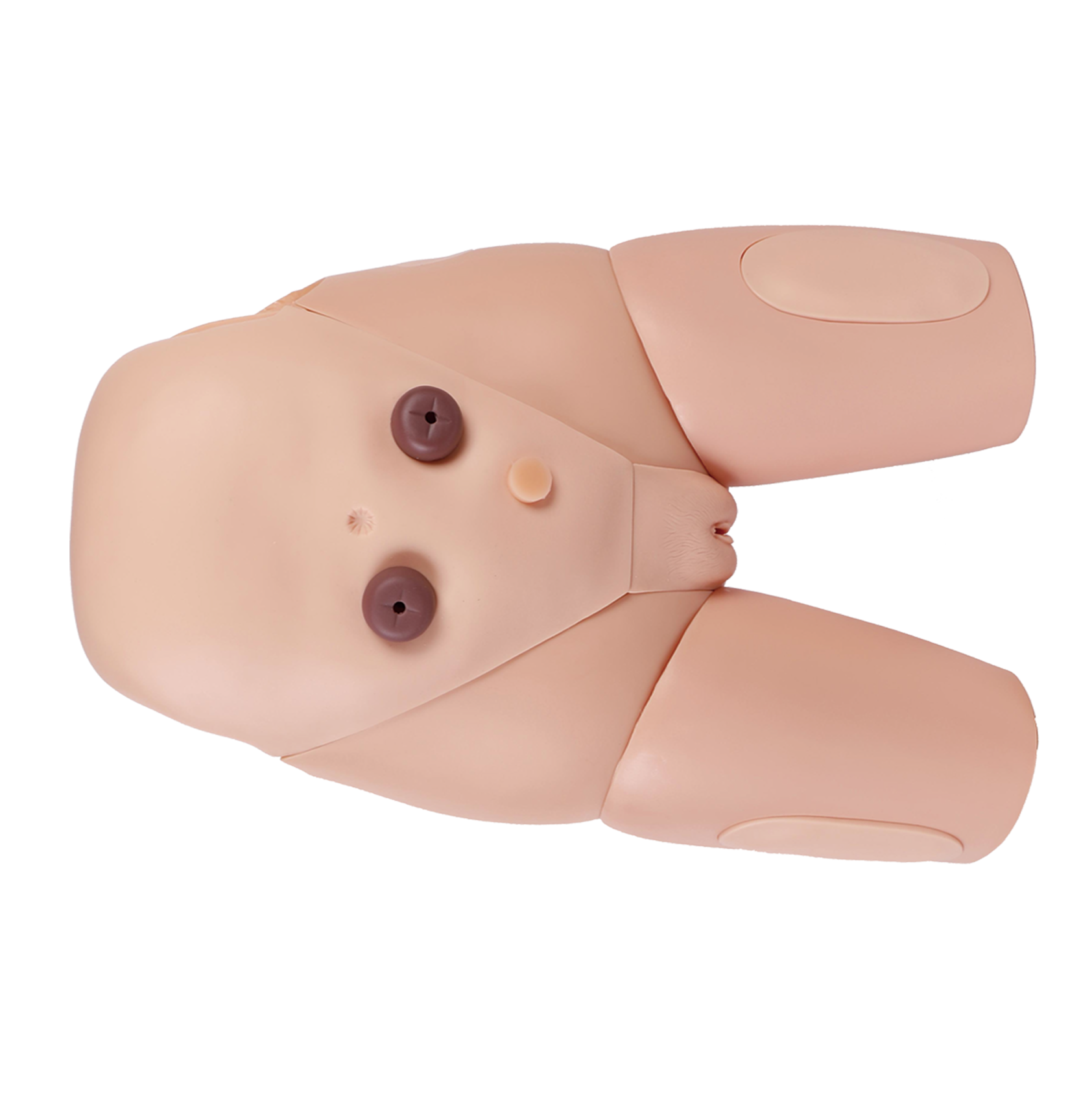 MH007 女性导尿模型