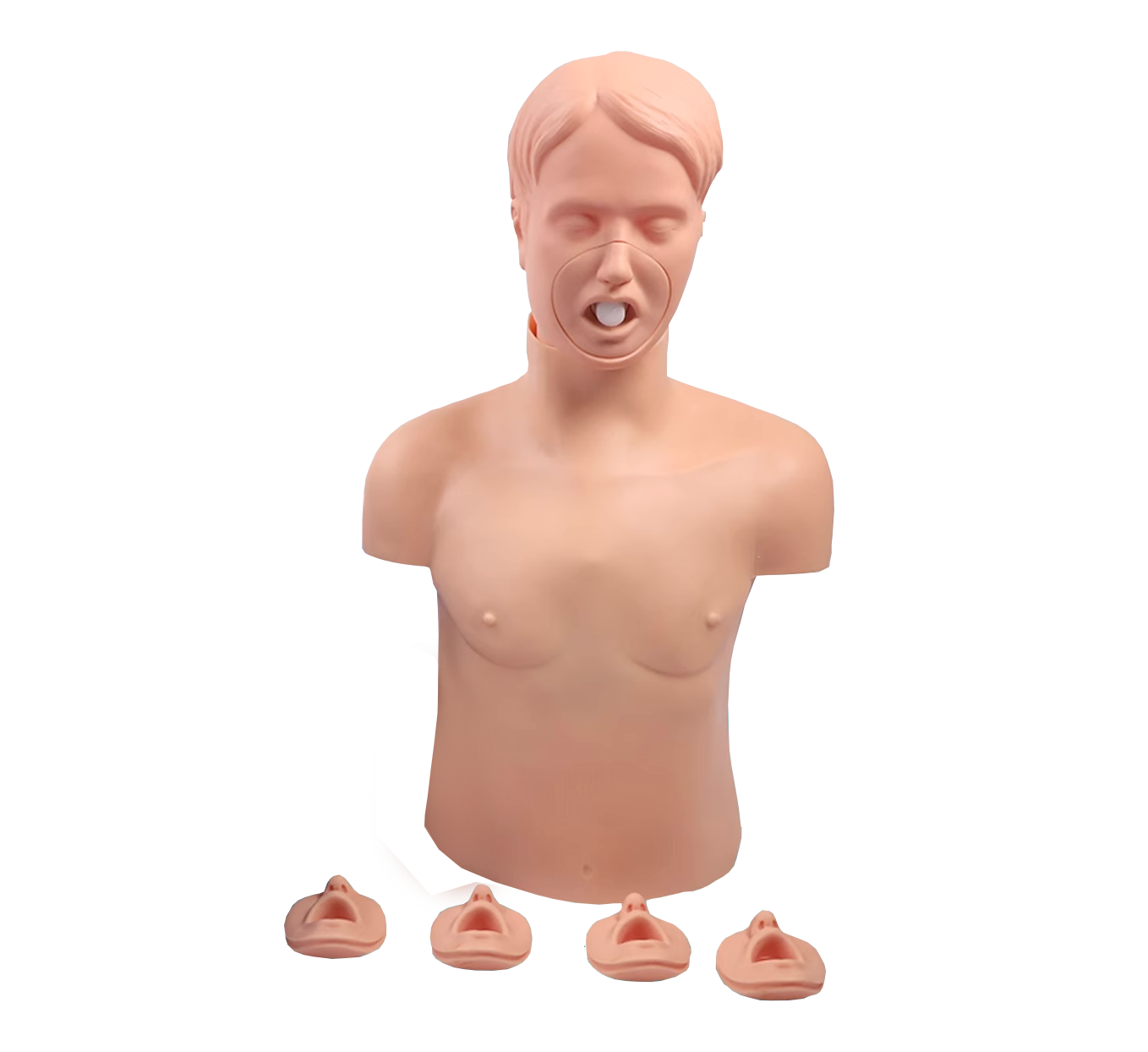 MJ011  成人气道梗塞及CPR模型