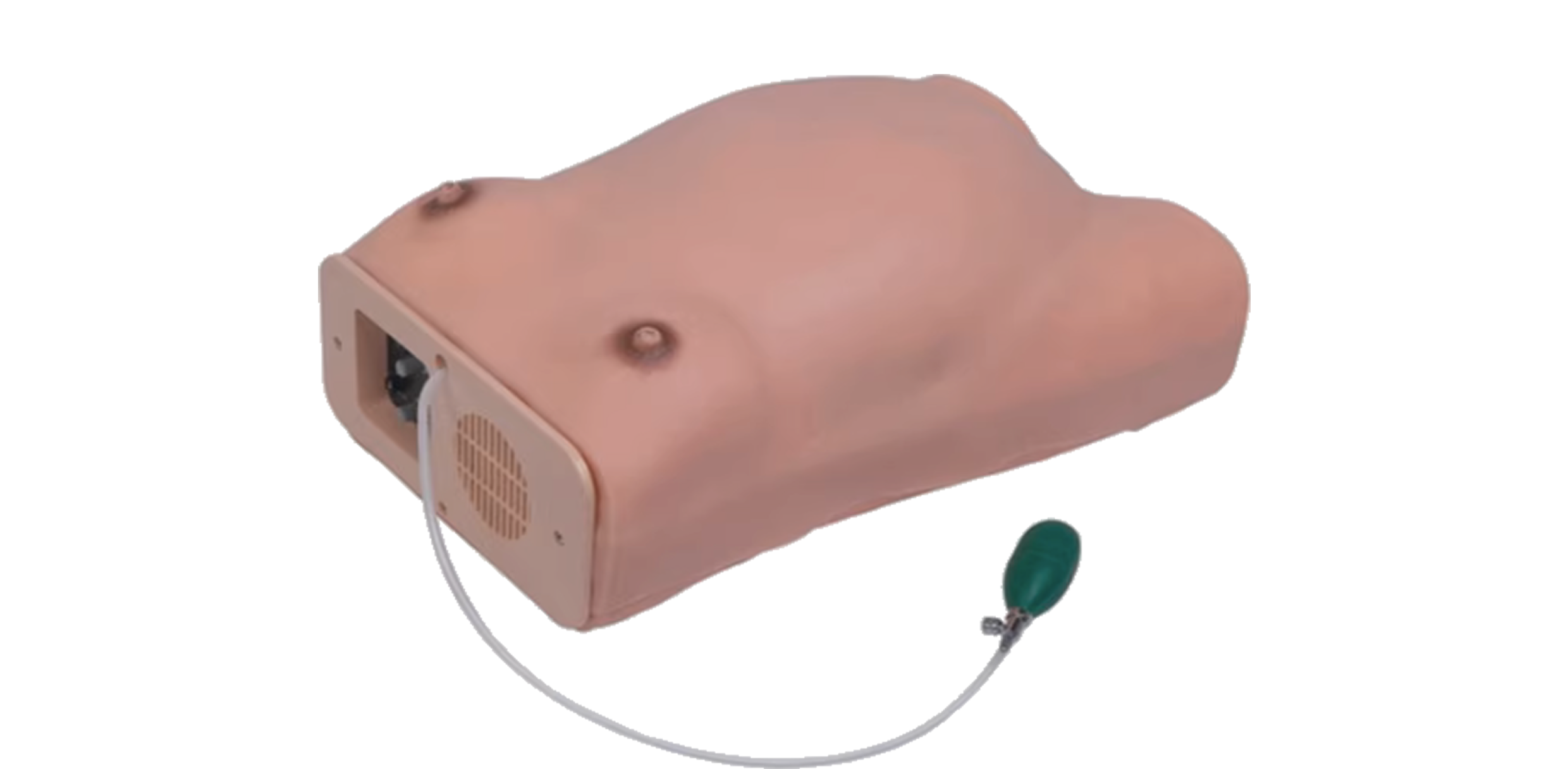 MF302 电脑孕妇检查模型