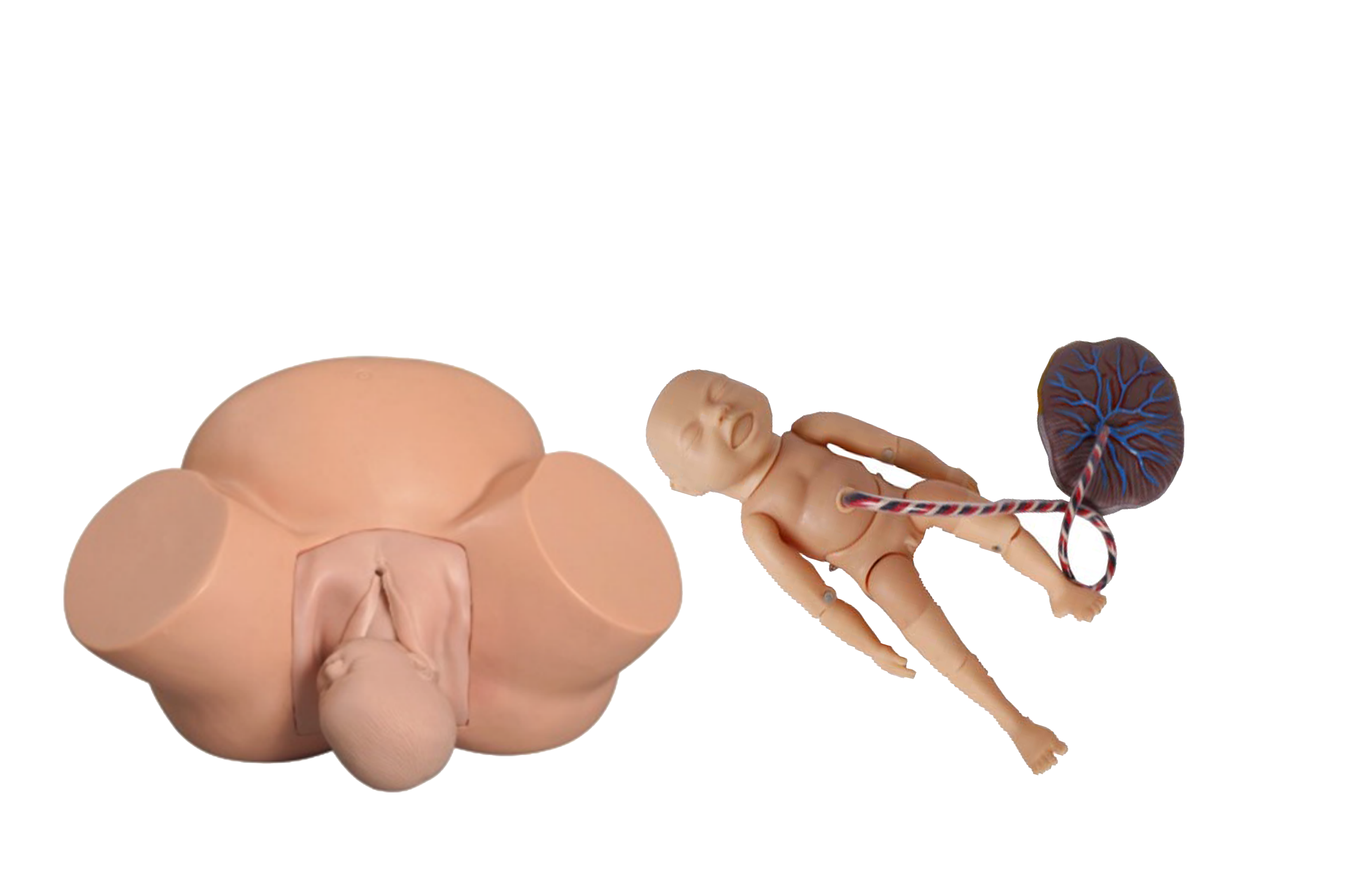 MF016 高级助产训练模型