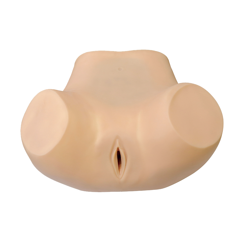 MF014 阴道后穹窿穿刺模型