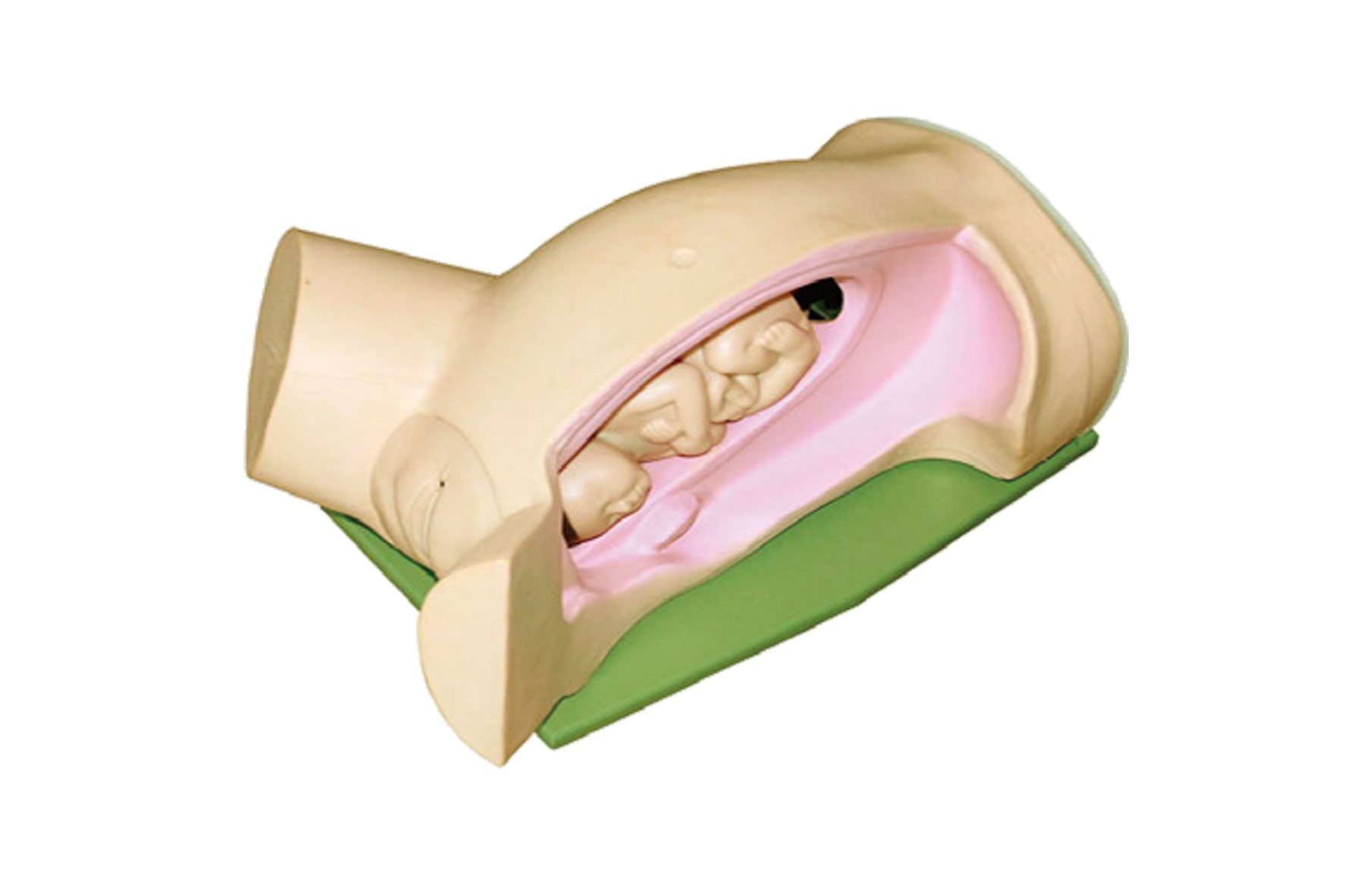 MF006 分娩机转示教模型