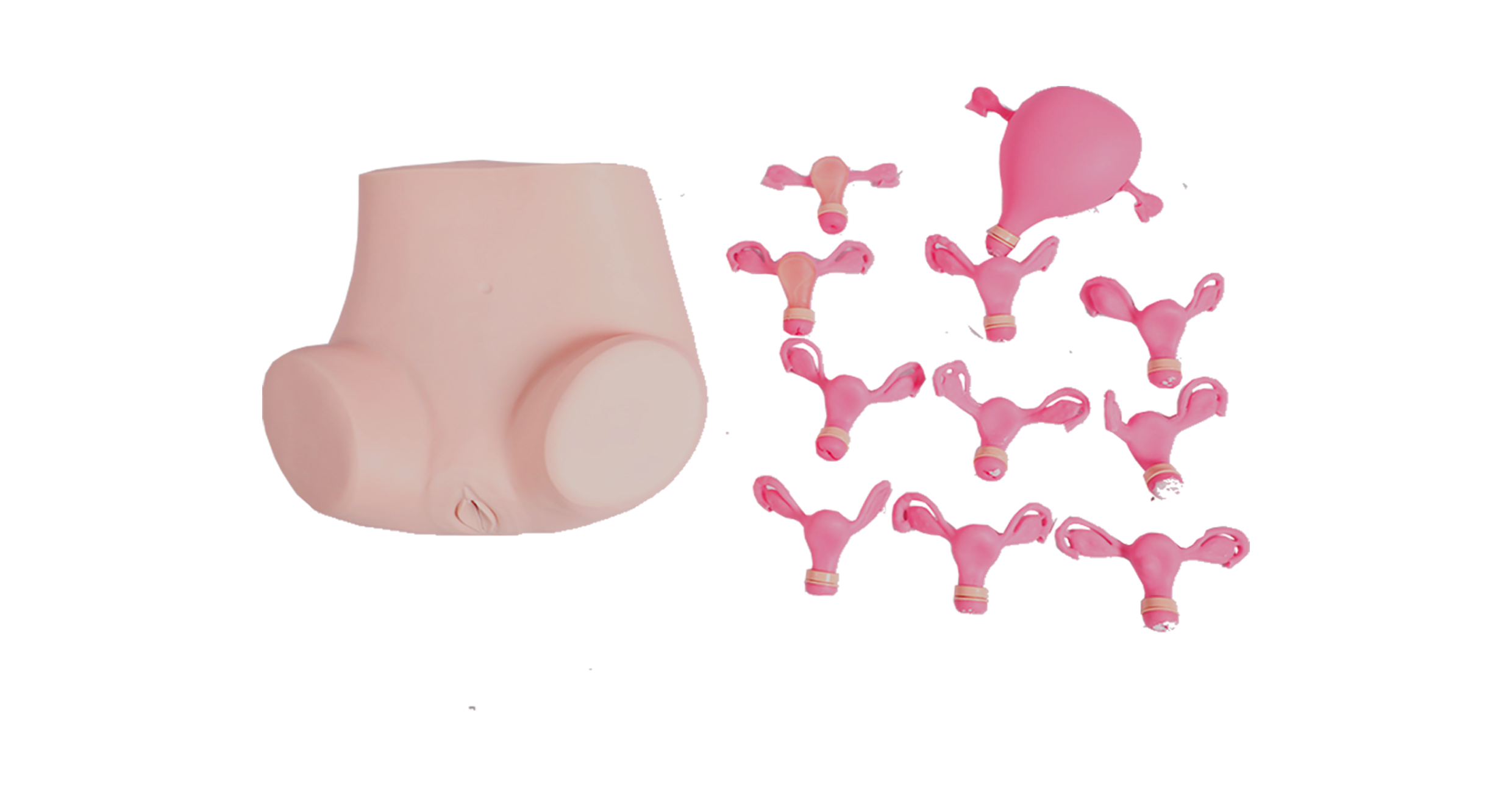 MF003 高级妇科检查模型（带8个子宫）