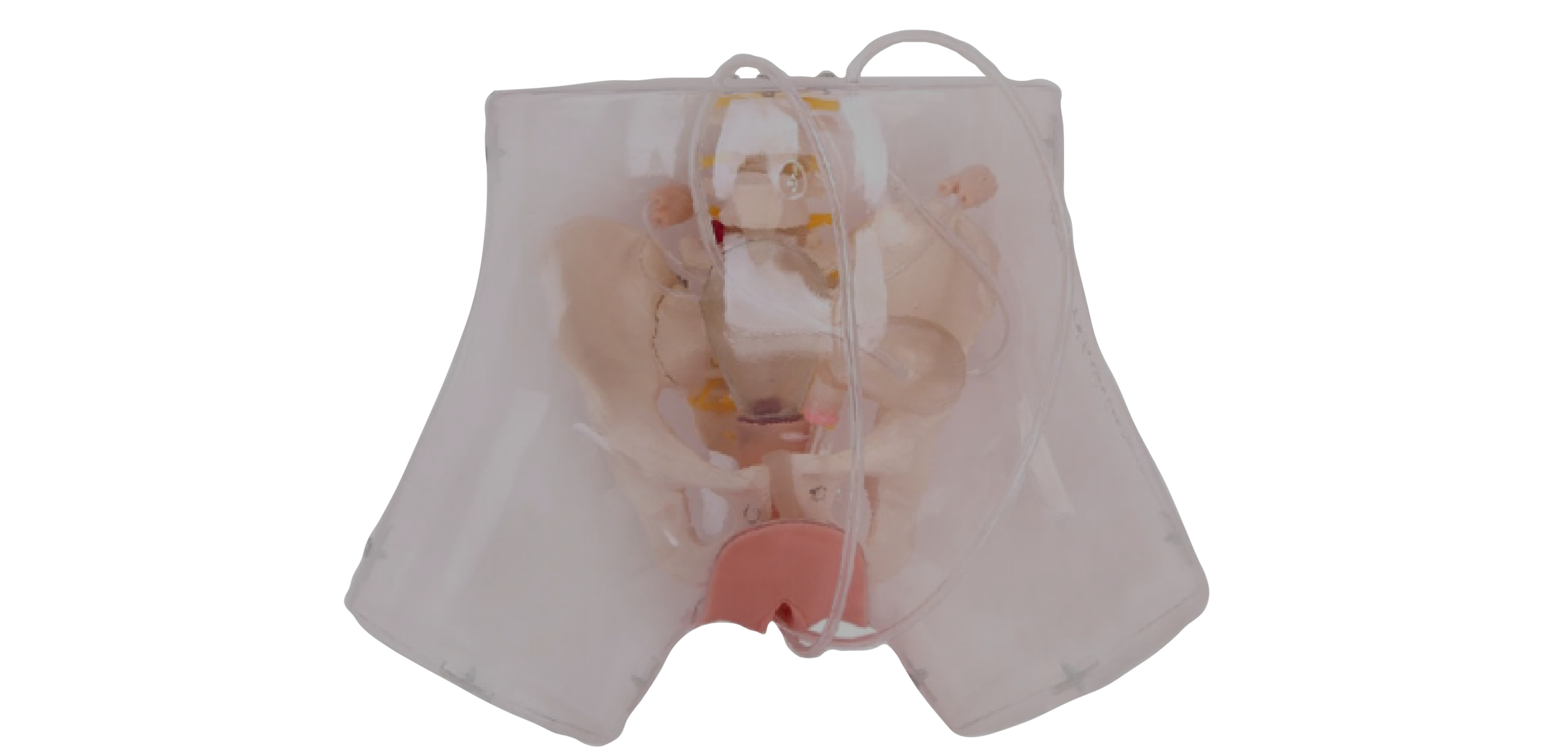 MF001 透明刮宫操作模型