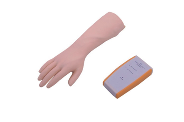 MW205 腕关节穿刺模型