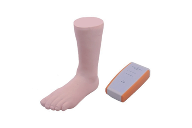 MW204 踝关节穿刺模型