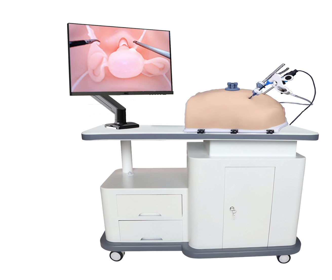 MW11000 高级妇科腹腔镜训练系统