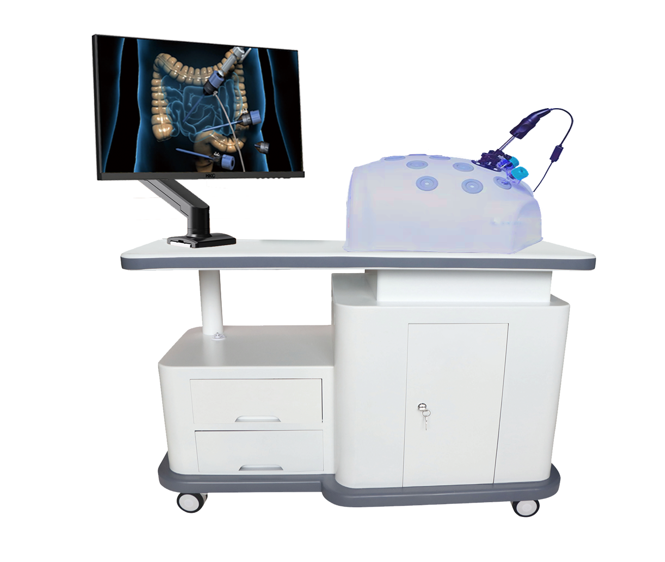 MW10000 高效腹腔镜训练系统