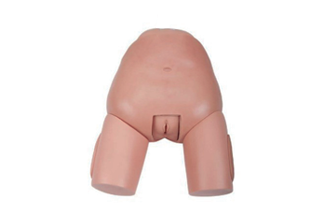 MW037 高级女性膀胱穿刺模型