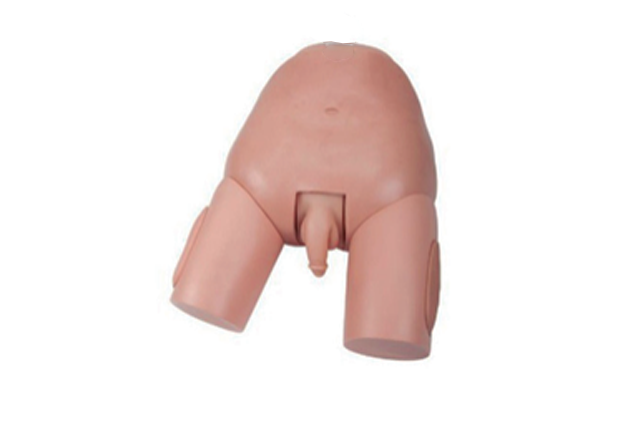 MW036 高级男性膀胱穿刺模型