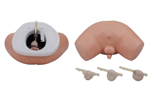 MW032 前列腺检查模型