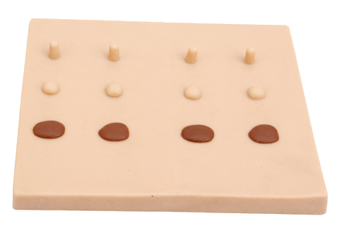 MW021 表皮常见病变处理模块(加大型)