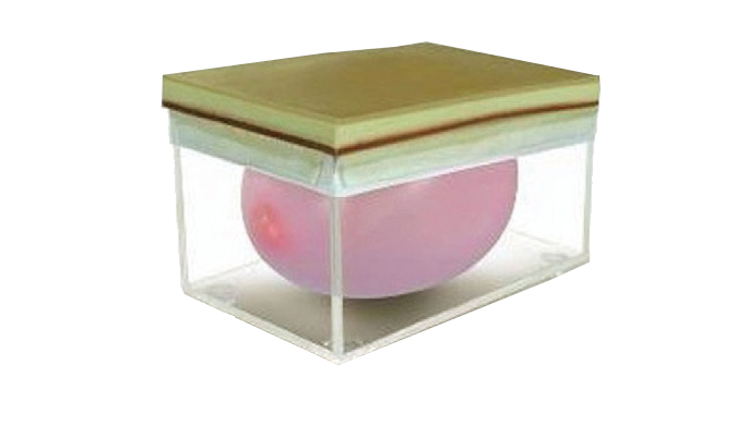 MW011 开腹、关腹操作模型