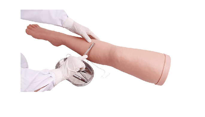 MW008 下肢外科基本操作模型