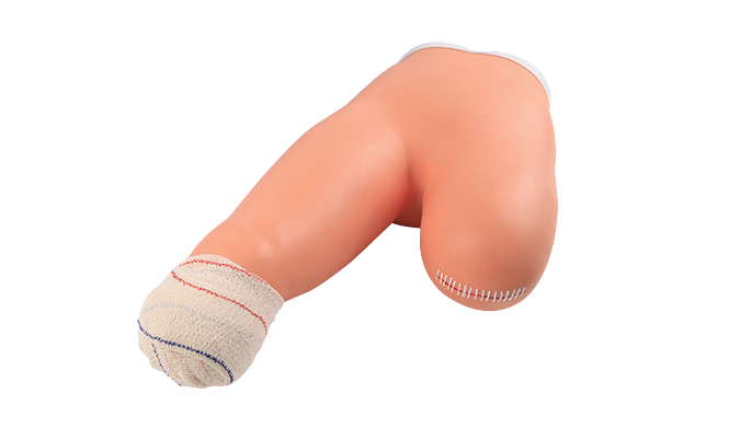 MW005 下肢包扎操作模型